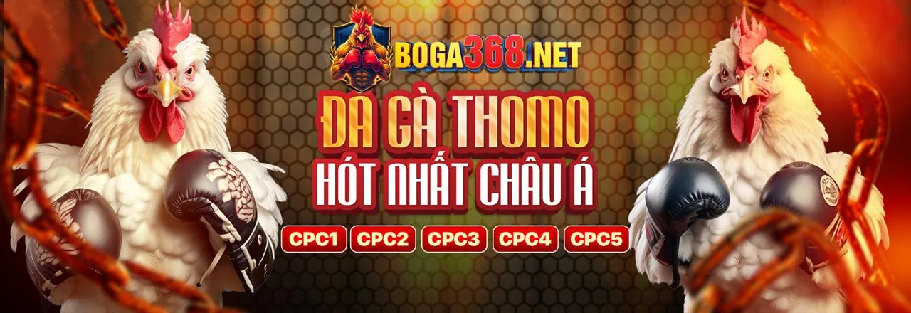 Hoàn Trả Hàng Ngày F169 Link Mới Nhất